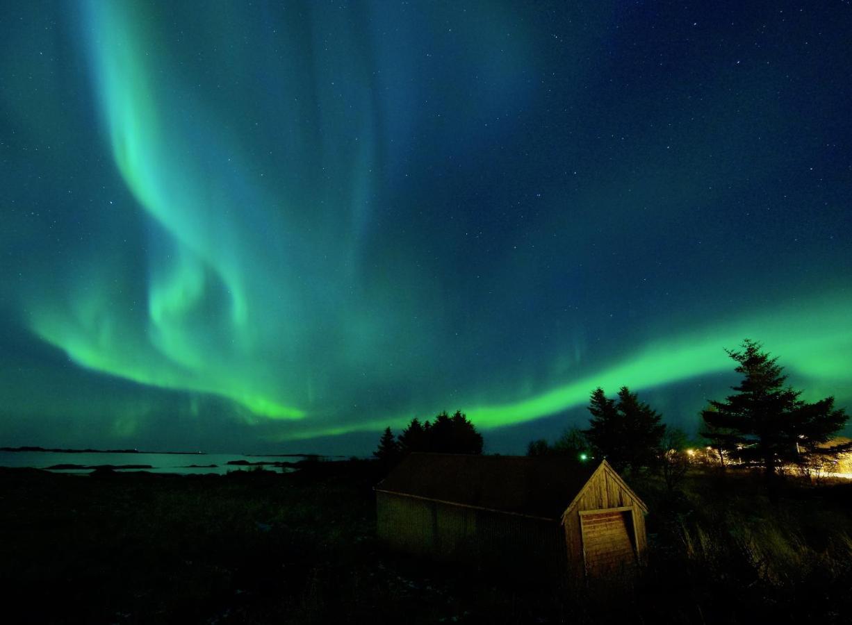 Fishermans Village Lofoten Alstad  Zewnętrze zdjęcie